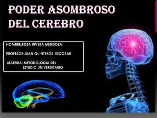 NOMBRE:ROSA RIVERA MENDOZA

PROFESOR:JUAN QUINTEROS ESCOBAR

MATERIA: METODOLOGIA DEL
        ESTUDIO UNIVERDITARIO
 