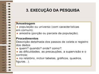 3. EXECUÇÃO DA PESQUISA
 
