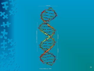 38
Franco Bellezza- 2006Franco Bellezza- 2006
 