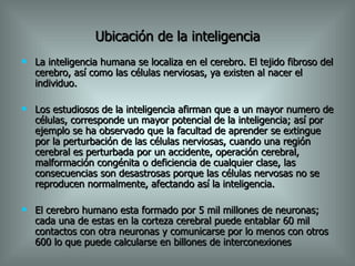 Ubicación de la inteligencia La inteligencia humana se localiza en el cerebro. El tejido fibroso del cerebro, así como las células nerviosas, ya existen al nacer el individuo.  Los estudiosos de la inteligencia afirman que a un mayor numero de células, corresponde un mayor potencial de la inteligencia; así por ejemplo se ha observado que la facultad de aprender se extingue por la perturbación de las células nerviosas, cuando una región cerebral es perturbada por un accidente, operación cerebral, malformación congénita o deficiencia de cualquier clase, las consecuencias son desastrosas porque las células nervosas no se reproducen normalmente, afectando así la inteligencia. El cerebro humano esta formado por 5 mil millones de neuronas; cada una de estas en la corteza cerebral puede entablar 60 mil contactos con otra neuronas y comunicarse por lo menos con otros 600 lo que puede calcularse en billones de interconexiones 