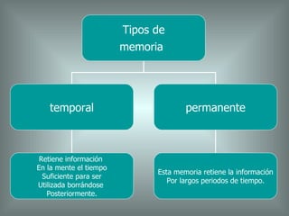 Tipos de memoria   temporal permanente Retiene información  En la mente el tiempo Suficiente para ser Utilizada borrándose  Posteriormente. Esta memoria retiene la información Por largos periodos de tiempo. 
