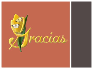 Metodologia integradora de procesos empresariales