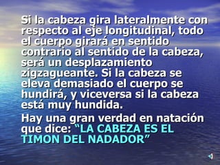 Si la cabeza gira lateralmente con respecto al eje longitudinal, todo el cuerpo girará en sentido contrario al sentido de la cabeza, será un desplazamiento zigzagueante. Si la cabeza se eleva demasiado el cuerpo se hundirá, y viceversa si la cabeza está muy hundida. Hay una gran verdad en natación que dice:  “LA CABEZA ES EL TIMON DEL NADADOR” 