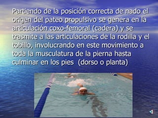 Partiendo de la posición correcta de nado el origen del pateo propulsivo se genera en la  articulación coxo-femoral (cadera) y se trasmite a las articulaciones de la rodilla y el tobillo, involucrando en este movimiento a toda la musculatura de la pierna hasta culminar en los pies  (dorso o planta)  