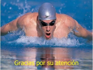 Gracias por su atención 