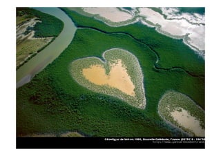 frineia@educa.org.br
 