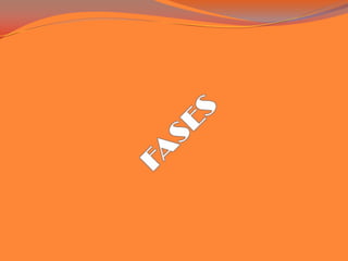 FASES<br />