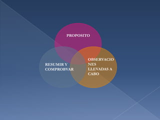 PROPOSITOOBSERVACIONES LLEVADAS A CABORESUMIR Y COMPROBVAR
