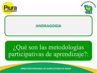 DIRECCIÓN REGIONAL DE AGRICULTURA DE PIURA
ANDRAGOGIA
¿Qué son las metodologías
participativas de aprendizaje?:
 