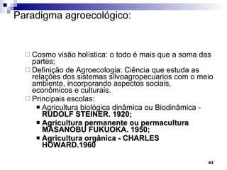 Paradigma agroecológico:  Cosmo visão holística: o todo é mais que a soma das partes; Definição de Agroecologia: Ciência que estuda as relações dos sistemas silvoagropecuarios com o meio ambiente, incorporando aspectos sociais, econômicos e culturais.  Principais escolas: Agricultura biológica dinâmica ou Biodinâmica -  RUDOLF STEINER. 1920; Agricultura permanente ou permacultura  MASANOBU FUKUOKA. 1950; Agricultura orgânica - CHARLES HOWARD.1960 