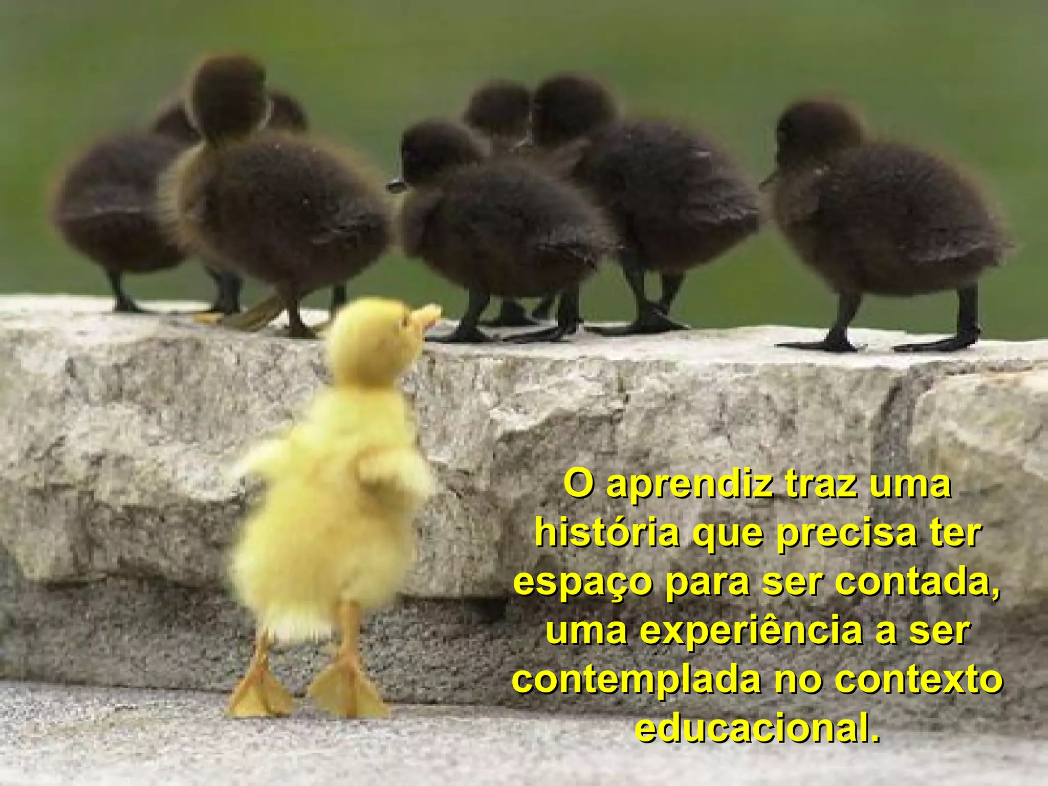 O aprendiz traz uma
história que precisa ter
espaço para ser contada,
uma experiência a ser
contemplada no contexto
educacional.