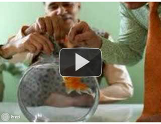 Metodologias interativas