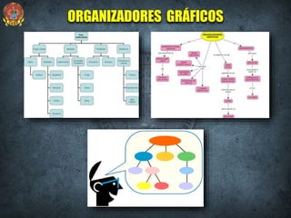 ORGANIZADORES GRÁFICOS
 