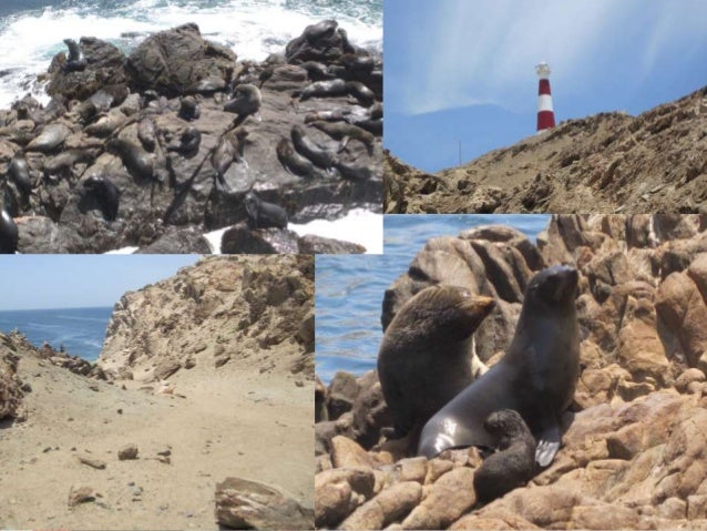 PUNTA LA CHIRA Y PUNTA ATICO