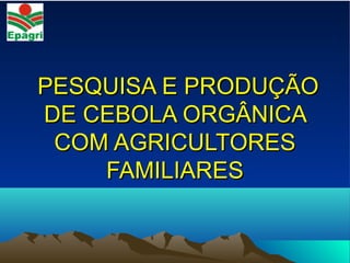 PESQUISA E PRODUÇÃOPESQUISA E PRODUÇÃO
DE CEBOLA ORGÂNICADE CEBOLA ORGÂNICA
COM AGRICULTORESCOM AGRICULTORES
FAMILIARESFAMILIARES
 