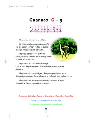 42
El guanaco vive en la cordillera.
La cabeza del guanaco es pequeña,
sus orejas son cortas y rectas; su cuello
es largo y sus patas son delgadas.
El pelaje del guanaco es fino y
suave, de color tostado en el lomo y como
la nieve en el vientre.
El guanaco da lana como la oveja.
Con la lana de guanaco se hacen ponchos y otras prendas
de vestir.
El guanaco corre muy ligero, lo que le permite arrancar
de sus depredadores. Generalmente se defiende lanzando escupos.
El guanaco no es un animal doméstico como la oveja.
Es salvaje y vive en manadas o rebaños.
Gustavo – Gabriela – Gaspar – Guadalupe – Gonzalo – Guacolda
Galvarino – Guanaqueros – Gorbea
Guatemala – Guayaquil – Guadalajara
Guanaco G – g
Matte P. 36-61 27/12/05 16:36 Page 42
 