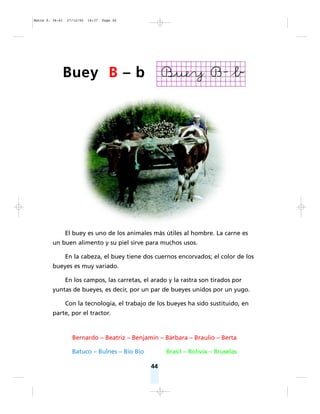 44
El buey es uno de los animales más útiles al hombre. La carne es
un buen alimento y su piel sirve para muchos usos.
En la cabeza, el buey tiene dos cuernos encorvados; el color de los
bueyes es muy variado.
En los campos, las carretas, el arado y la rastra son tirados por
yuntas de bueyes, es decir, por un par de bueyes unidos por un yugo.
Con la tecnología, el trabajo de los bueyes ha sido sustituido, en
parte, por el tractor.
Bernardo – Beatriz – Benjamín – Bárbara – Braulio – Berta
Batuco – Bulnes – Bío Bío Brasil – Bolivia – Bruselas
Buey B – b
Matte P. 36-61 27/12/05 16:37 Page 44
 