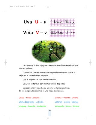 47
Las uvas son dulces y jugosas. Hay uvas de diferentes colores y se
dan en racimos.
Cuando las uvas están maduras se pueden comer de postre o,
dejar secar para obtener las pasas.
Con el jugo de las uvas se elabora vino.
Las viñas se forman con muchas hileras de parras.
La recolección y cosecha de las uvas se llama vendimia.
En los campos, la vendimia es una fiesta tradicional.
Úrsula – Ulises – Urbano
Última Esperanza – La Unión
Uruguay – Uganda – Urubamba
Uva U – u
Viña V – v
Victoria – Vicente – Viviana
Vallenar – Vicuña – Valdivia
Venezuela – Viena – Venecia
Matte P. 36-61 27/12/05 16:37 Page 47
 