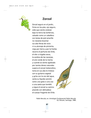 87
Zorzal
Zorzal seguro en el jardín,
firme en los pies, ojo seguro,
oído que siente ondular
bajo la tierra las lombrices,
calzado como un caballero
con botas de piel amarilla
no necesita levantar
sus alas llenas de rocío
ni su plumaje de pimienta,
viaja por tierra y por la hierba
recorre el perfume de Chile,
el olor a trigales secos,
la sombra de las naranjas,
el aire verde de la menta
y cuando se siente agobiado
por tantos dones naturales
suspira el zorzal melancólico,
toma en sus alas la tristeza
con su guitarra vegetal
y grita con la voz del agua,
canta su líquida canción
como una gota o una uva
o una saeta que tembló
y sigue el zorzal su camino
pisando con delicadeza
el cuerpo fragante de Chile.
Pablo Neruda, en: Antología Fundamental Pablo Neruda.
Ed. Pehuén, Santiago, 1989.
Matte P. 62-92 27/12/05 18:23 Page 87
 