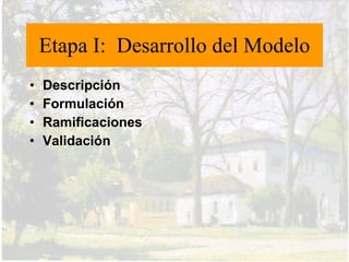 Etapa I: Desarrollo del Modelo
Ramificación.

• Los estudiantes
  construyen
  representaciones
  gráficas y matemáticas.
• Los grupos preparan y
  presentan resúmenes
  de sus resultados en las
  pizarras blancas.
• Se propone un modelo.
 