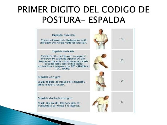Metodo owas