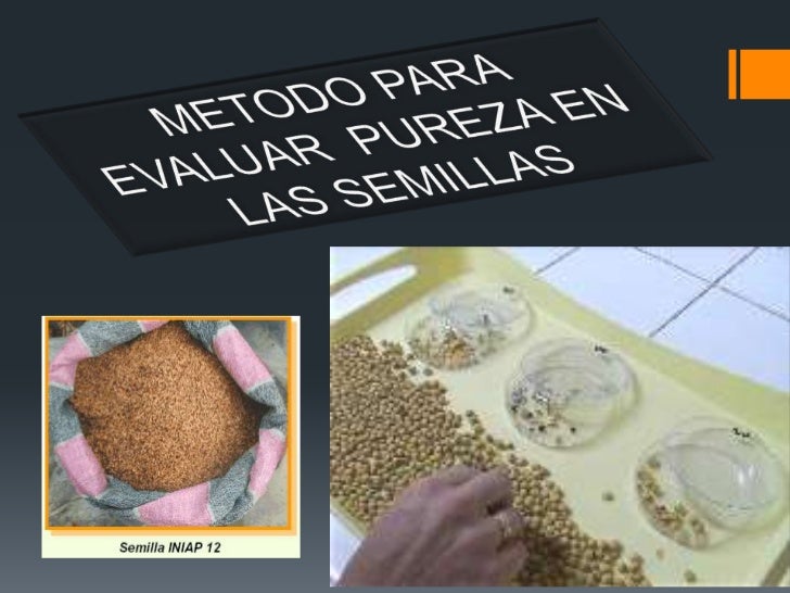 Metodo para evaluar pureza en semillas copia