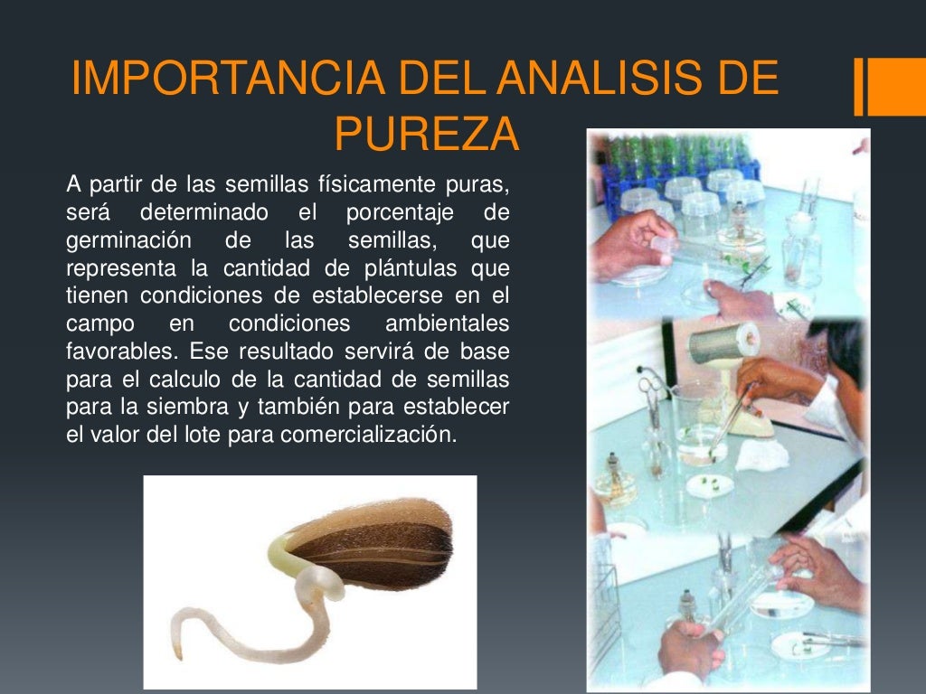 Metodo para evaluar pureza en semillas copia