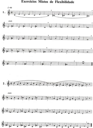 ExercíciosMistos de Flexibilidade
 