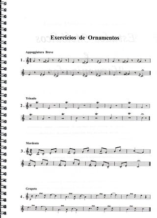 Exercíciosde Ornamentos
AppoggiaturaBreve
Trinado
Mordente
Grupeto
 
