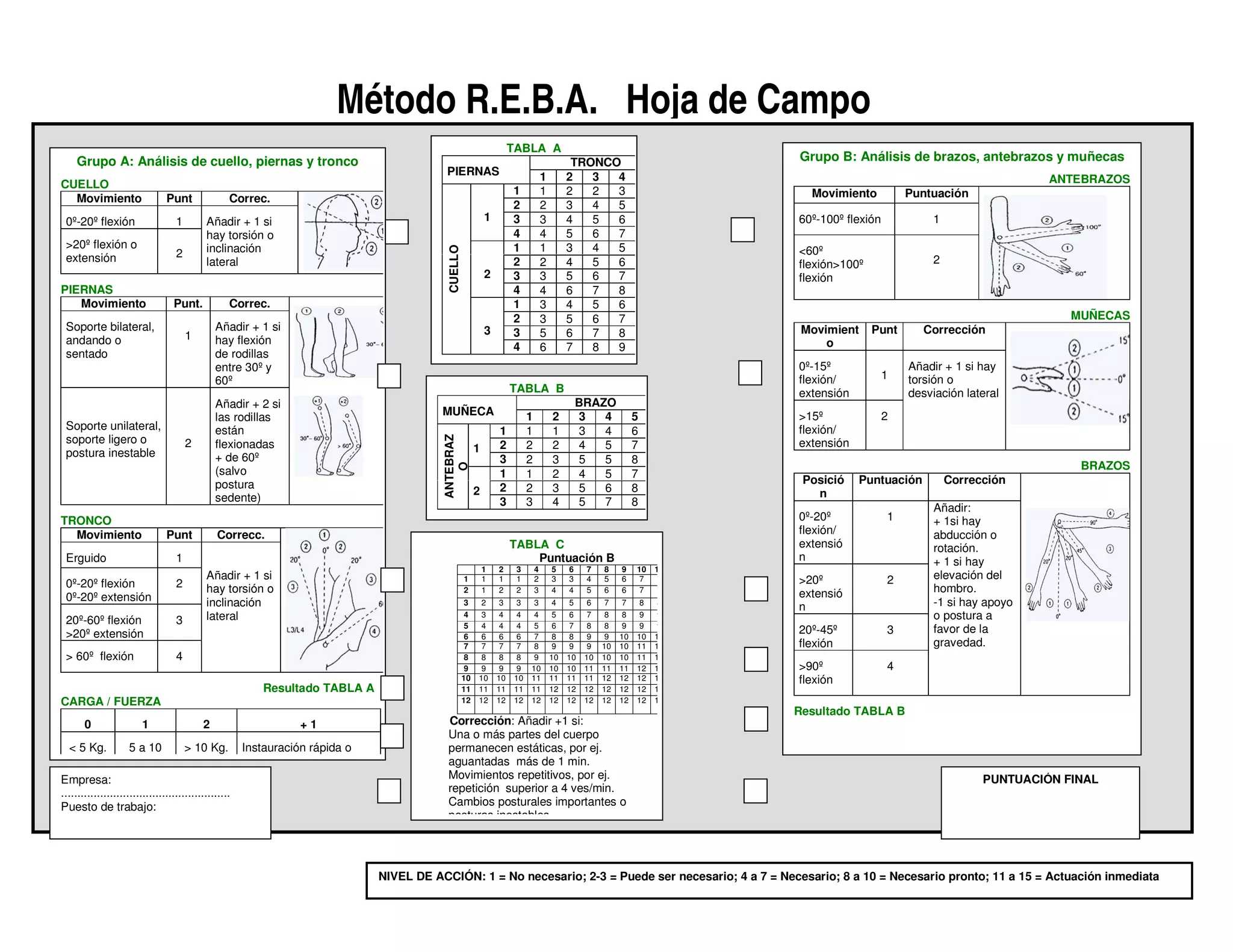 Reba Form.pdf Metodo reba hoja | PDF