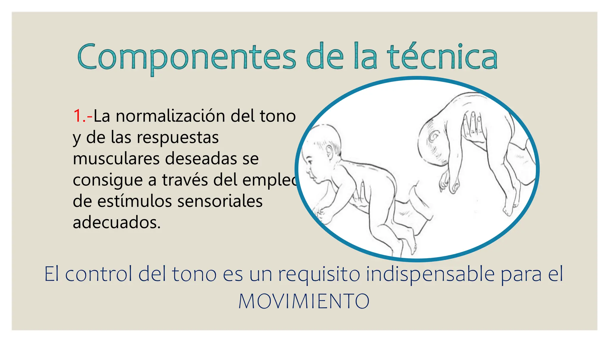 Rood Rood metodo rood lo que necesitas saber para terapia | PPTX