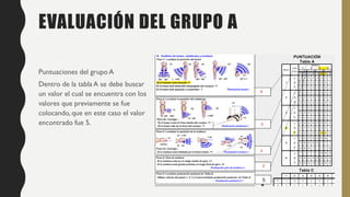 Tabla Resumen Rula Metodo Rula.pdf