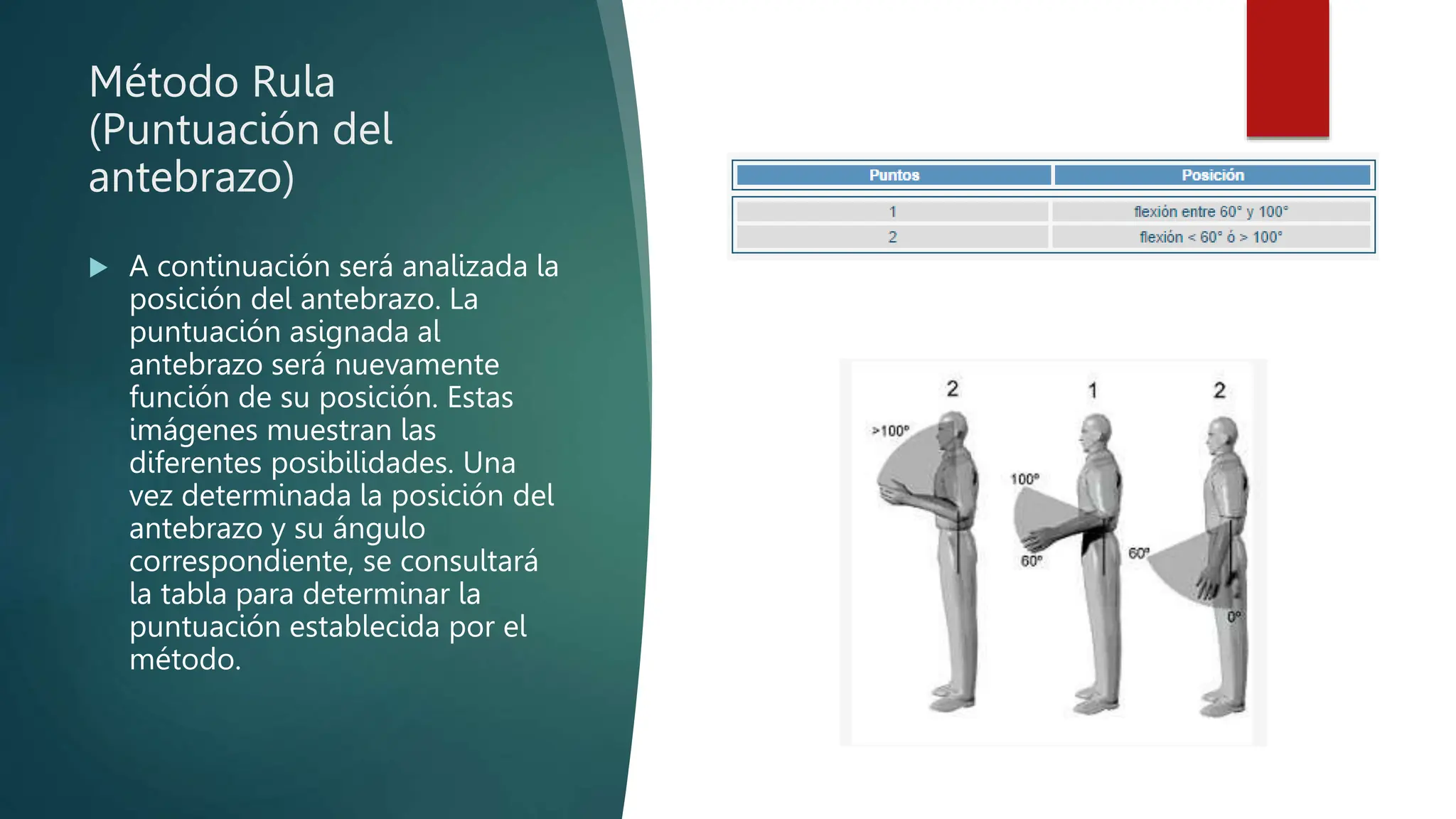 Tabla Resumen Rula Método Rula Ergonomia posturas del cuerpo brazo torso y cintura | PPTX