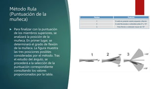 Tabla Resumen Rula Método Rula Ergonomia posturas del cuerpo brazo torso y cintura | PPTX