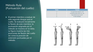 Tabla Resumen Rula Método Rula Ergonomia posturas del cuerpo brazo torso y cintura | PPTX
