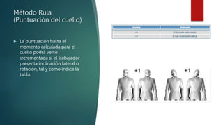 Tabla Resumen Rula Método Rula Ergonomia posturas del cuerpo brazo torso y cintura | PPTX