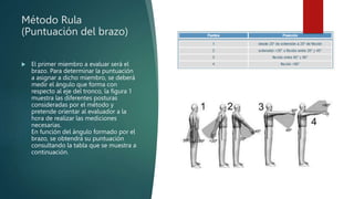 Tabla Resumen Rula Método Rula Ergonomia posturas del cuerpo brazo torso y cintura | PPTX