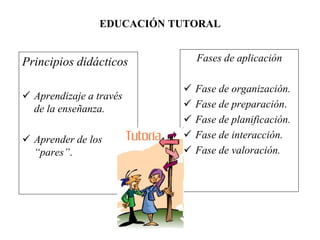 EDUCACIÓN TUTORAL
Principios didácticos
 Aprendizaje a través
de la enseñanza.
 Aprender de los
“pares”.
Fases de aplicación
 Fase de organización.
 Fase de preparación.
 Fase de planificación.
 Fase de interacción.
 Fase de valoración.
 