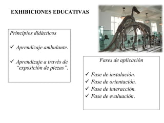 EXHIBICIONES EDUCATIVAS
Principios didácticos
 Aprendizaje ambulante.
 Aprendizaje a través de
“exposición de piezas”.
Fases de aplicación
 Fase de instalación.
 Fase de orientación.
 Fase de interacción.
 Fase de evaluación.
 