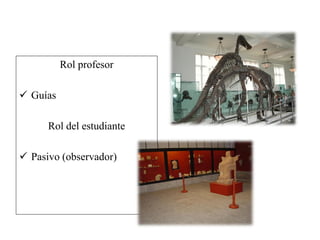 Rol profesor
 Guías
Rol del estudiante
 Pasivo (observador)
 