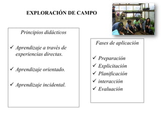 EXPLORACIÓN DE CAMPO
Principios didácticos
 Aprendizaje a través de
experiencias directas.
 Aprendizaje orientado.
 Aprendizaje incidental.
Fases de aplicación
 Preparación
 Explicitación
 Planificación
 interacción
 Evaluación
 