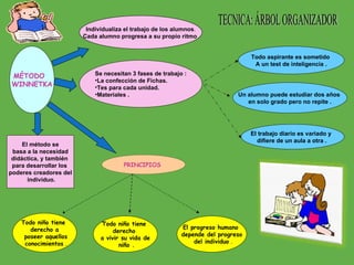 MÉTODO  WINNETKA El método se basa a la necesidad  didáctica, y también  para desarrollar los  poderes creadores del individuo. PRINCIPIOS  Todo niño tiene  derecho a poseer aquellos conocimientos  . Todo niño tiene  derecho  a vivir su vida de niño . El progreso humano  depende del progreso del individuo  . Se necesitan 3 fases de trabajo : La confección de Fichas. Tes para cada unidad. Materiales . Todo aspirante es sometido  A un test de inteligencia . Un alumno puede estudiar dos años  en solo grado pero no repite . El trabajo diario es variado y  difiere de un aula a otra .  Individualiza el trabajo de los alumnos . Cada alumno progresa a su propio ritmo  TECNICA: ÁRBOL ORGANIZADOR 