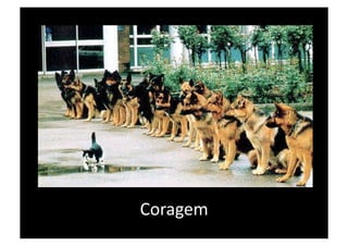 Coragem 
 
