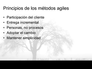 Principios de los métodos agiles
•   Participación del cliente
•   Entrega incremental
•   Personas, no procesos
•   Adoptar el cambio
•   Mantener simplicidad
 