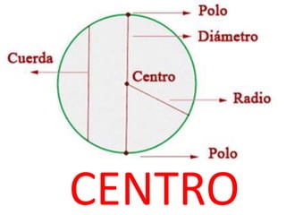 CENTRO
 
