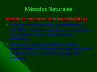Métodos Naturales Método de amenorrea de la lactancia (MELA) Es un método anticonceptivo que se basa en la infertilidad natural del postparto que ocurre cuando una mujer está amenorreica y amamanta plenamente. La succión efectuada por el lactante inhibe la producción de las hormonas que se requieren para la ovulación. Si no hay ovulación, no puede haber embarazo. 