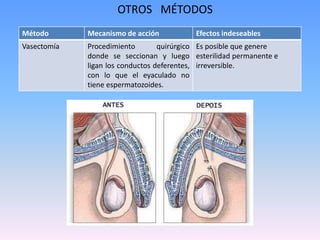 OTROS MÉTODOS
Método Mecanismo de acción Efectos indeseables
Vasectomía Procedimiento quirúrgico
donde se seccionan y luego
ligan los conductos deferentes,
con lo que el eyaculado no
tiene espermatozoides.
Es posible que genere
esterilidad permanente e
irreversible.
 