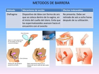 METODOS DE BARRERA
Método Mecanismo de acción Efectos indeseables
Diafragma Dispositivo de látex con forma de aro
que se coloca dentro de la vagina, en
el inicio del cuello del útero. Evita que
los espermatozoides avancen hacia el
encuentro con el ovocito
No presenta. Debe ser
retirado de seis a ocho horas
después de su utilización.
 