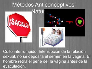Métodos Anticonceptivos
Naturales
Coito interrumpido: Interrupción de la relación
sexual, no se deposita el semen en la vagina; El
hombre retira el pene de la vagina antes de la
eyaculación.
 