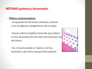 MÉTODOSquímicosyhormonales
• Píldora anticonceptiva:
• Compuesto de hormonas sintéticas similares
a los estrógenos y progesterona de la mujer.
• Actúan sobre la hipófisis haciendo que ordene
el cese de producción de estas hormonas por parte
del ovario.
• Así, el ovario queda en reposo y no hay
ovulación y por tanto tampoco fecundación.
 